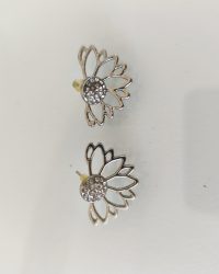 Boucles d'oreilles (n031)